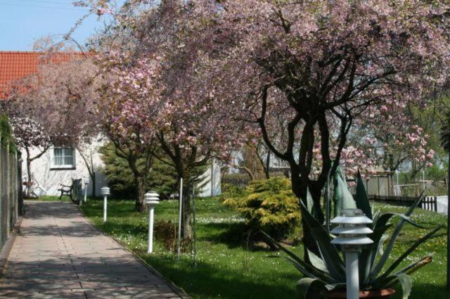 Familienhotel Zur Linde Паншвиц-Кукау Экстерьер фото